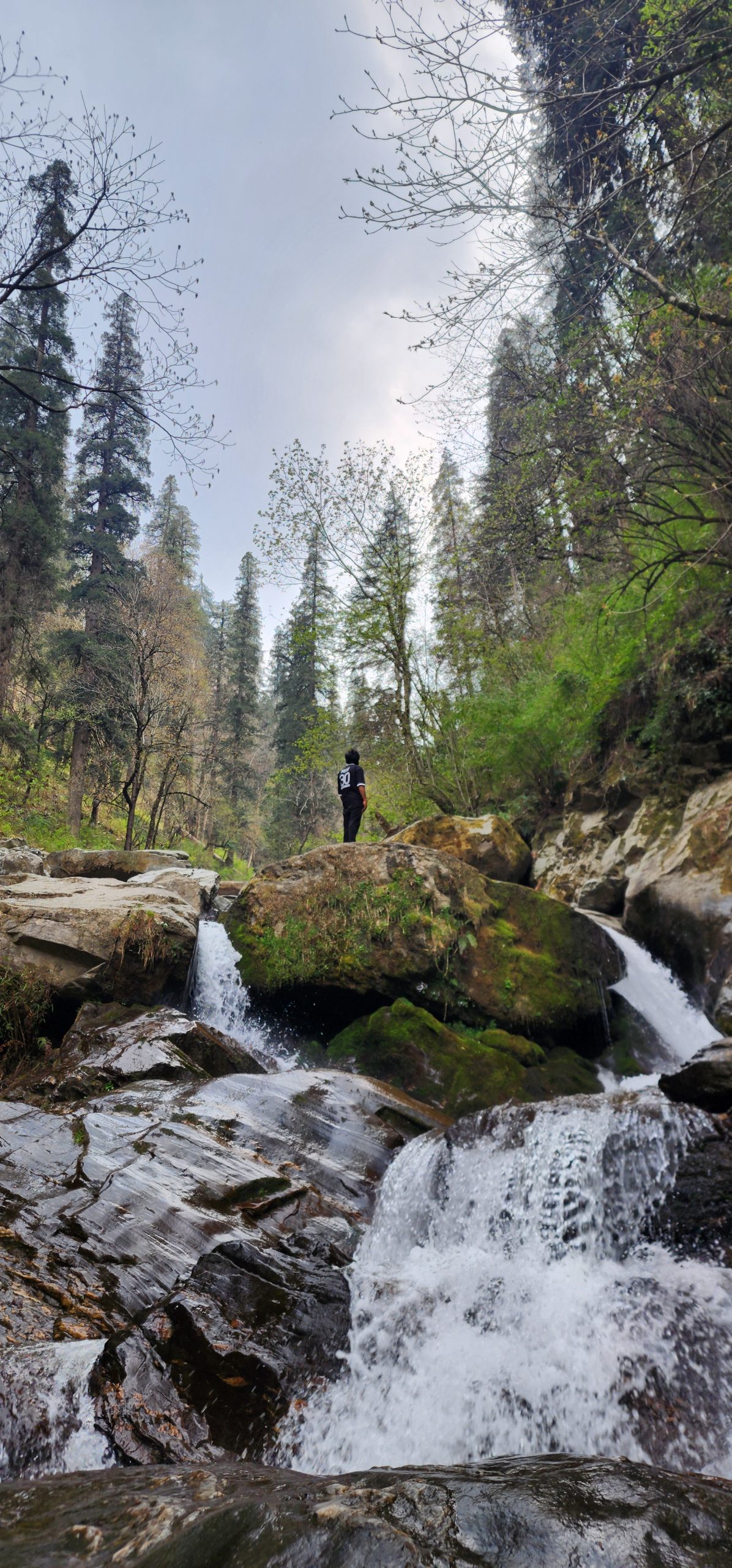 Dip, Breathe, Repeat: Ailyak’s Water Dipping Experience in Jibhi & Shoja